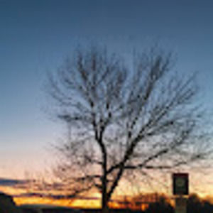 Meet your Posher, Camryn